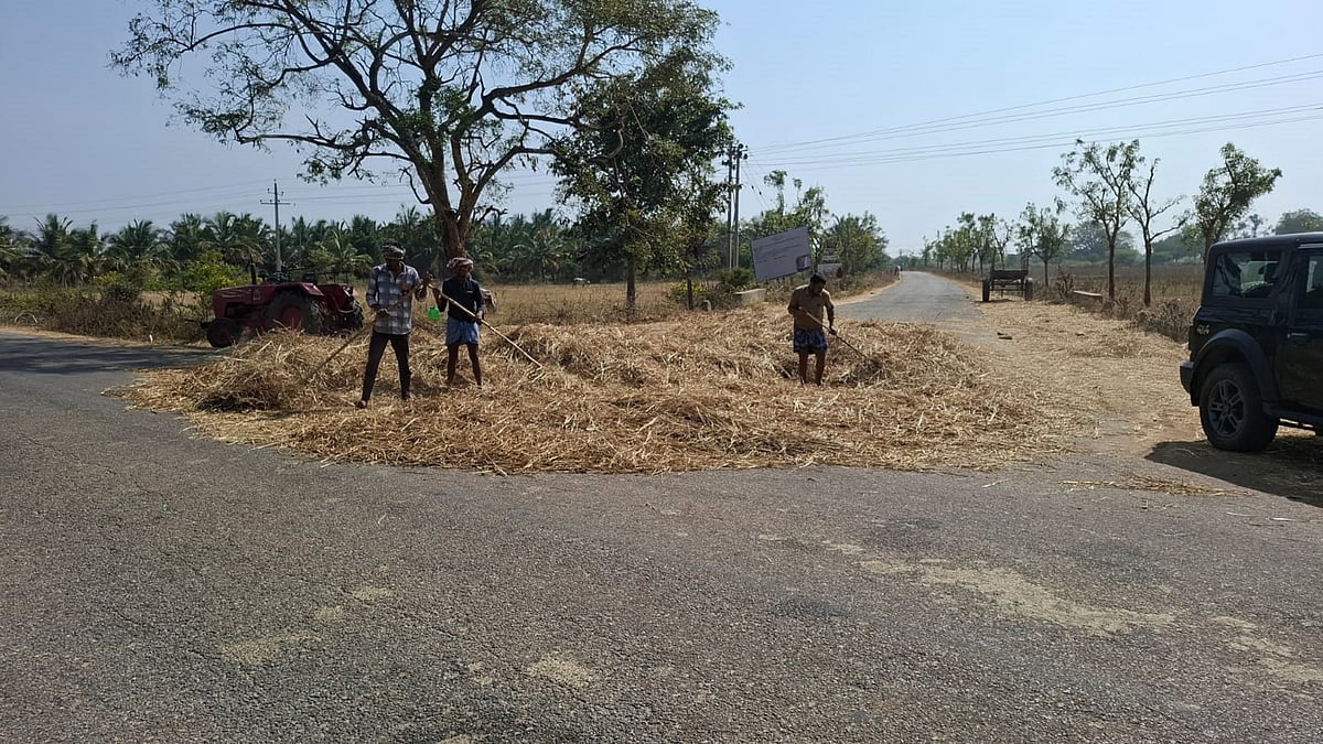 ಹೊಸದುರ್ಗ | ರಸ್ತೆಯಲ್ಲಿ ಒಕ್ಕಣೆ, ವಾಹನ ಸವಾರರಿಗೆ ಕಿರಿಕಿರಿ