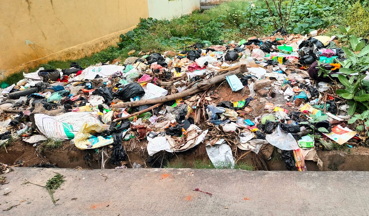 ಕನಕಪುರ | ಎಲ್ಲೆಂದರಲ್ಲಿ ಕಸದ ರಾಶಿ; ನೈರ್ಮಲ್ಯಕ್ಕಿಲ್ಲ ಒತ್ತು