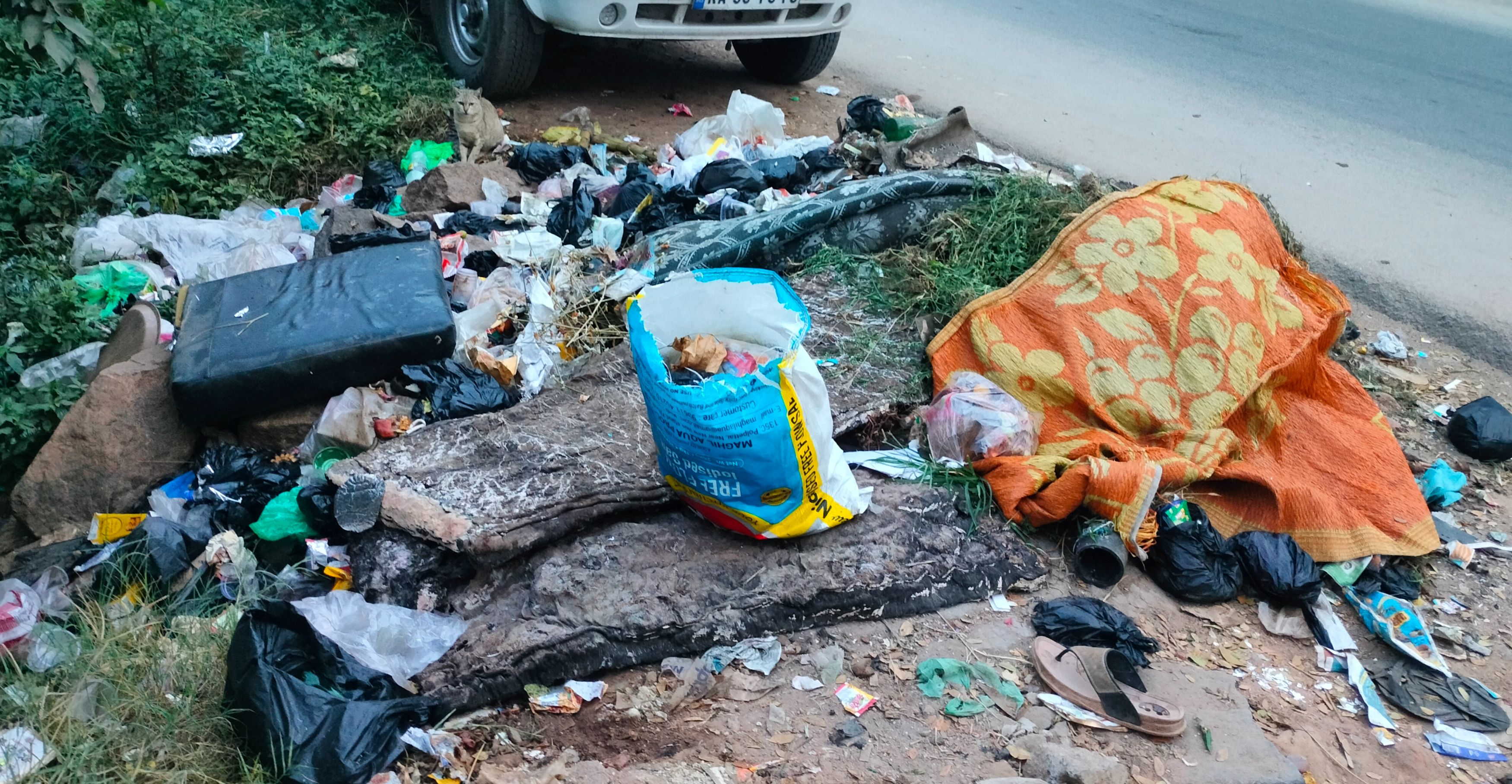 ಕನಕಪುರದ ರಾಮನಗರ ರಸ್ತೆಯ ಪೆಟ್ರೋಲ್ ಬಂಕ್ ಎದುರಿನ ರಸ್ತೆ ಪಕ್ಕದಲ್ಲಿರುವ ಕಸದ ತಿಪ್ಪೆ