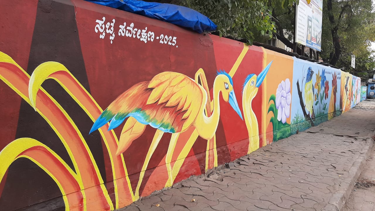 ರಾಯಚೂರಿನ ಸ್ಟೇಷನ್‌ ರಸ್ತೆಯ ಬಾಲಕಿಯರ ಕಾಲೇಜಿನ ಆವರಣ ಗೋಡೆಗಳ ಮೇಲೆ ಬಣ್ಣದ ಹಕ್ಕಿಗಳು