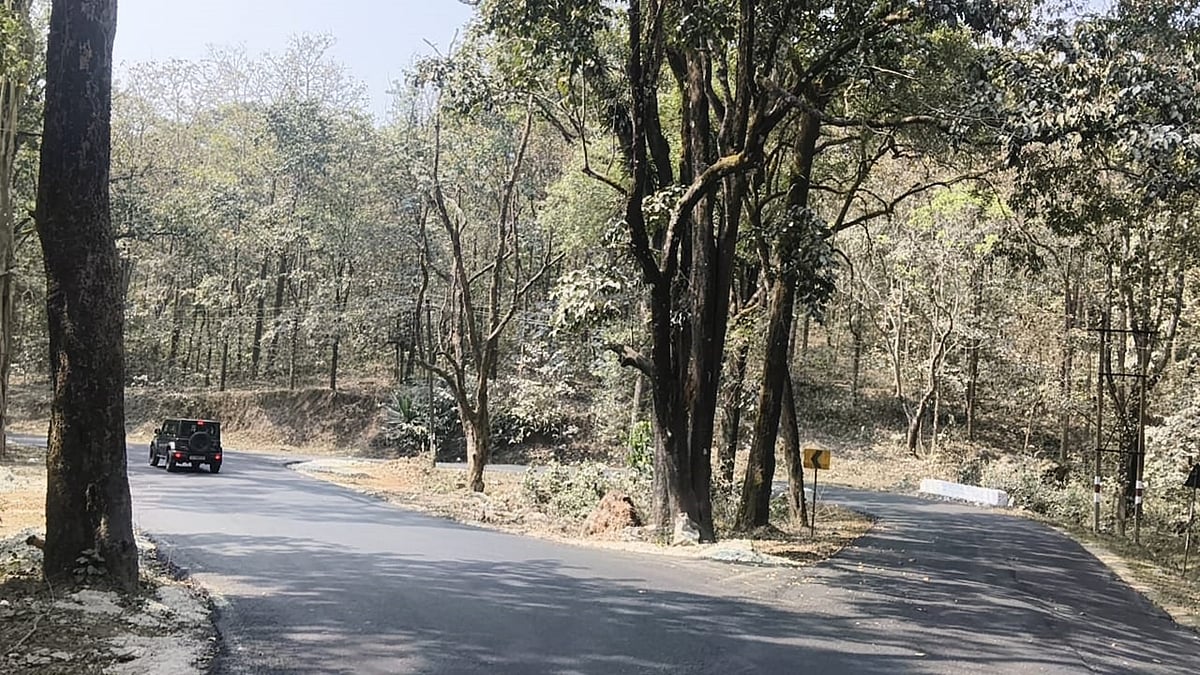 ಚಿಕ್ಕಮಗಳೂರು | ಶೃಂಗೇರಿ ರಸ್ತೆ: ರಾಷ್ಟ್ರೀಯ ಹೆದ್ದಾರಿ ಪಟ್ಟಿ ಸೇರುವ ನಿರೀಕ್ಷೆ