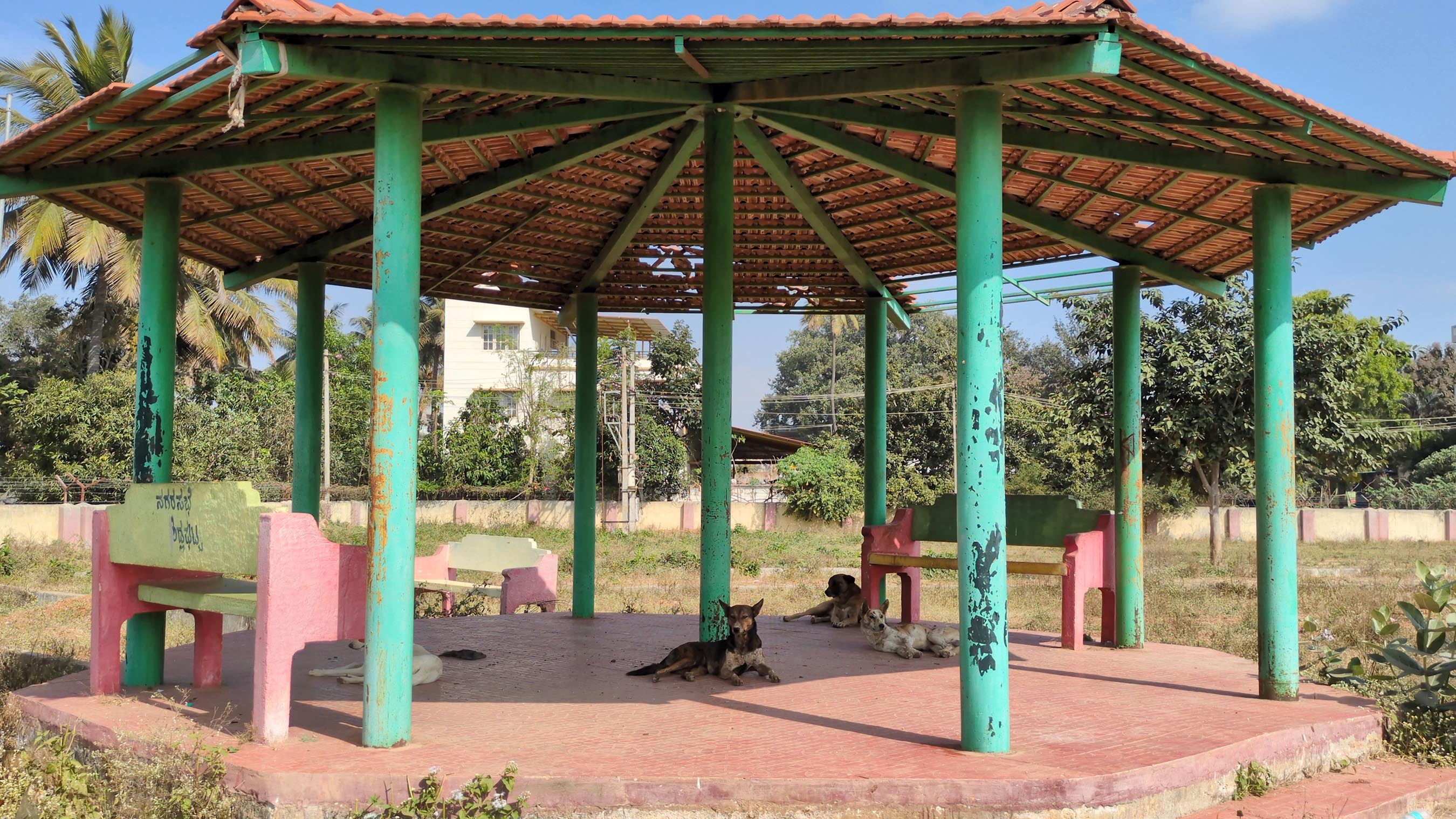 ನೆರಳಿಗೆ ನಿರ್ಮಿಸಿದ ಸ್ಥಳ ನಾಯಿಗಳಿಗೆ ಆಶ್ರಯ ನೀಡಿರುವುದು 