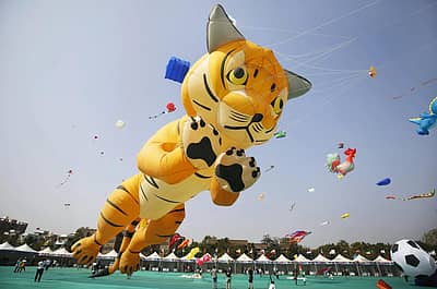 ಆಗಸದಲ್ಲಿ ರೆಕ್ಕೆ ಬಿಚ್ಚಿದ ಪ್ರಾಣಿ – ಪಕ್ಷಿಗಳು