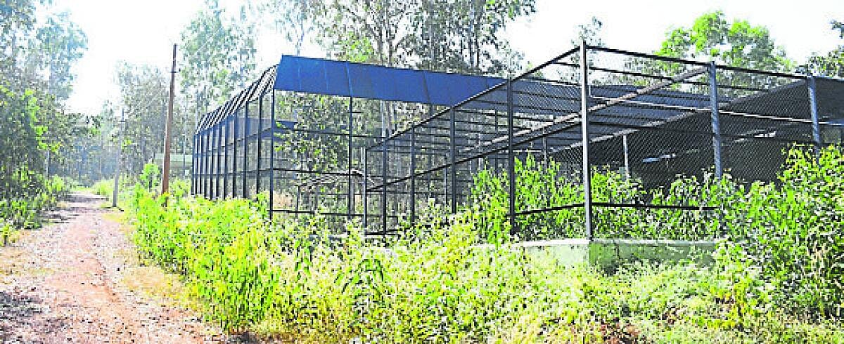 ವನ್ಯ‍ಪ್ರಾಣಿಗಳ ಆರೈಕೆಗೆ ಹೀಗೊಂದು ನೆಲೆ