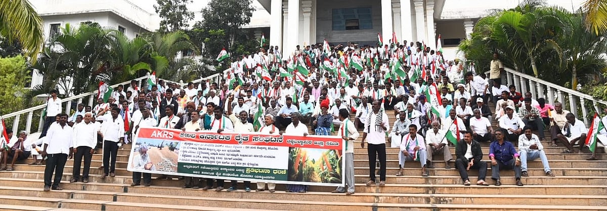 ಚಿಕ್ಕಬಳ್ಳಾಪುರ| ಮೆಕ್ಕೆಜೋಳ ಖರೀದಿ ಕೇಂದ್ರ ತೆರೆಯಿರಿ: ರೈತ ಸಂಘಟನೆ ಆಗ್ರಹ