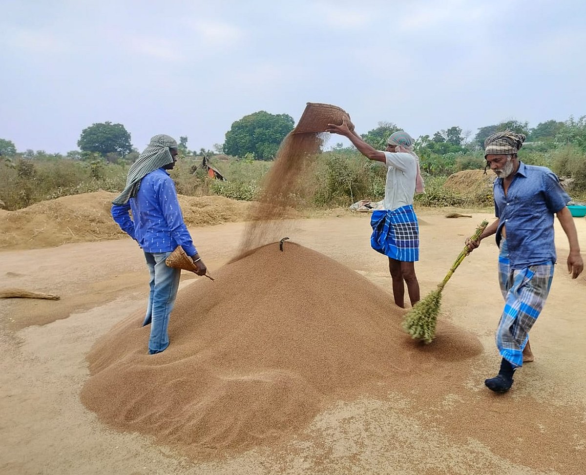 ಮಹದೇಶ್ವರಬೆಟ್ಟ: ಗಡಿಯಲ್ಲಿ ‘ಗೋವು ಹಬ್ಬ’ದ ಸಂಭ್ರಮ