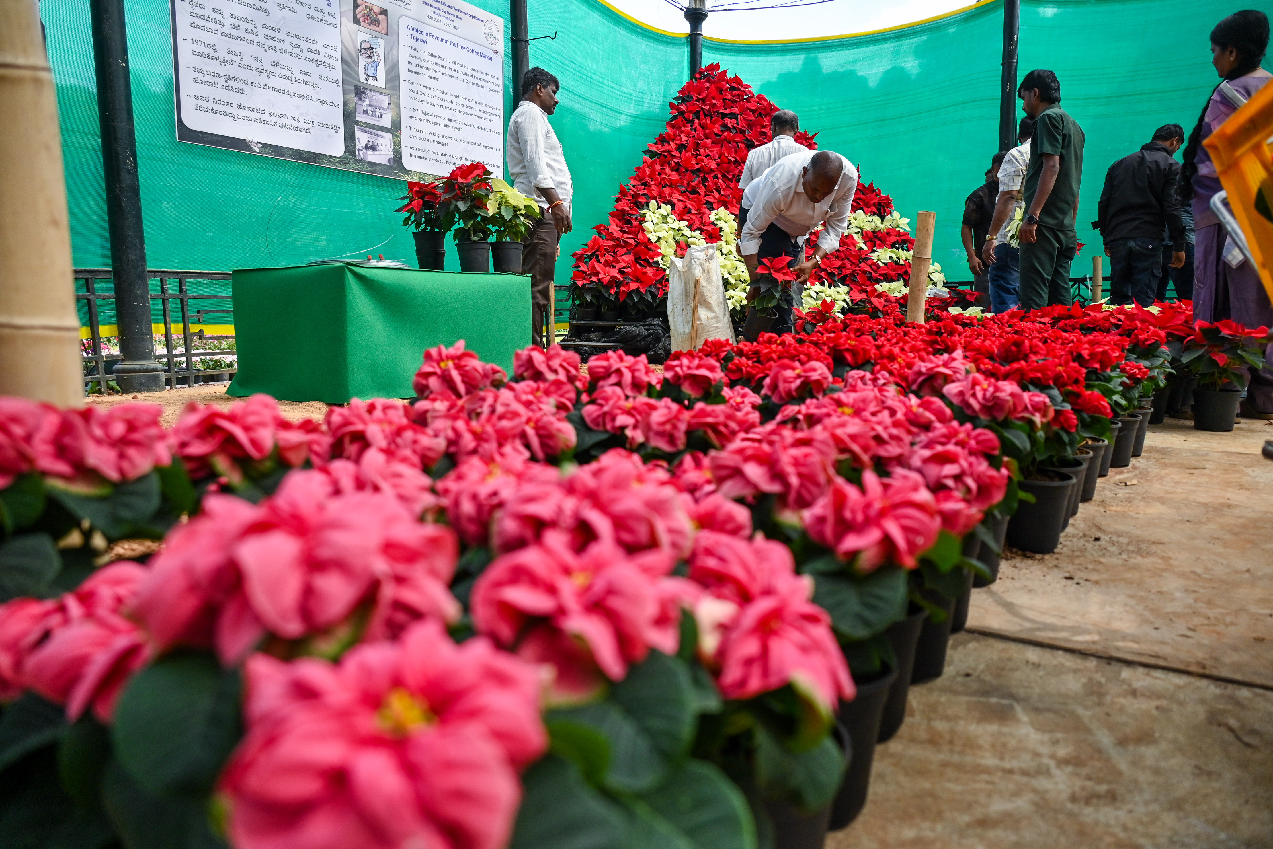 ಲಾಲ್‌ಬಾಗ್‌ನ ಗಾಜಿನ ಮನೆಯಲ್ಲಿ ನಡೆಯಲಿರುವ ಫಲಪುಷ್ಪ ಪ್ರದರ್ಶನಕ್ಕಾಗಿ ಹೂವಿನ ಕುಂಡಗಳನ್ನು ಜೋಡಿಸಿದ ಕಾರ್ಮಿಕರು  