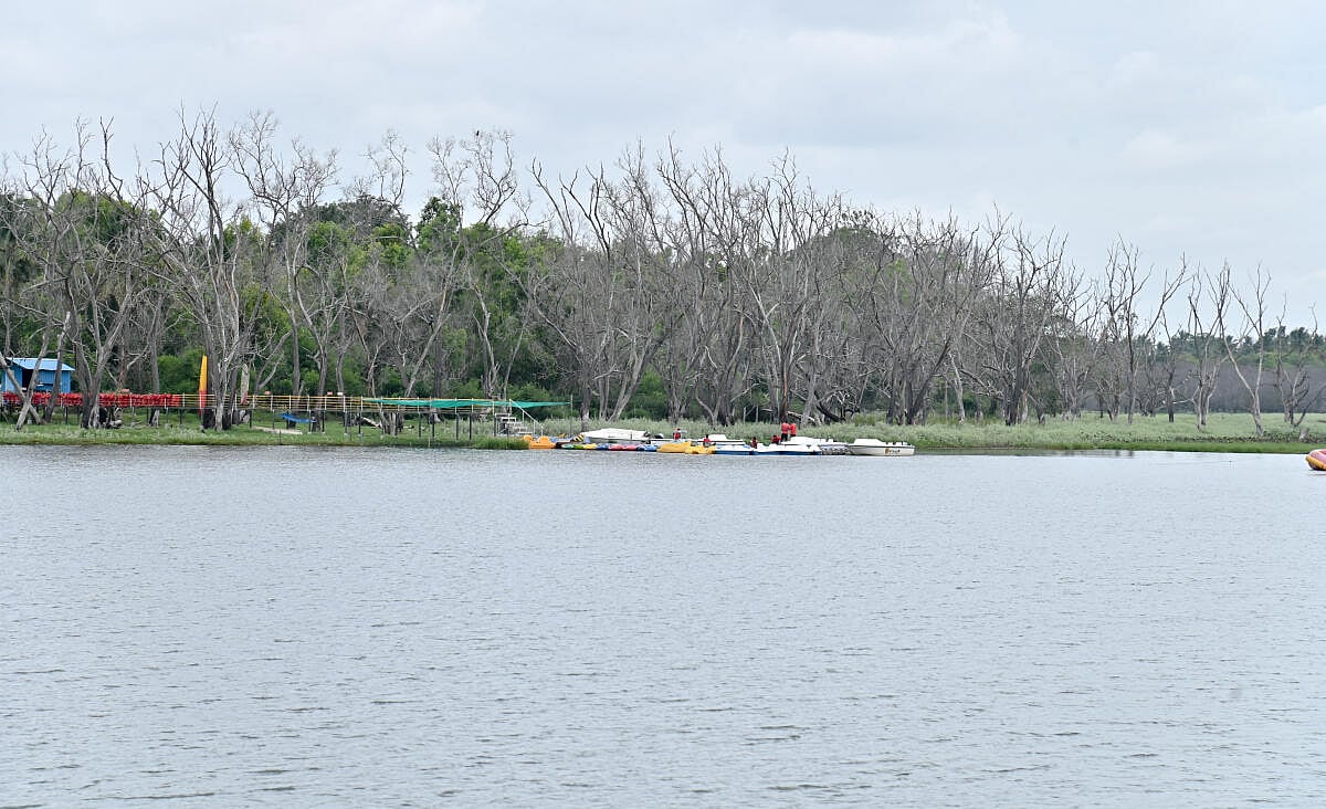ಮೈಸೂರು: ವರುಣ ಕೆರೆಗೆ ಶುದ್ಧೀಕರಣ ಭಾಗ್ಯ