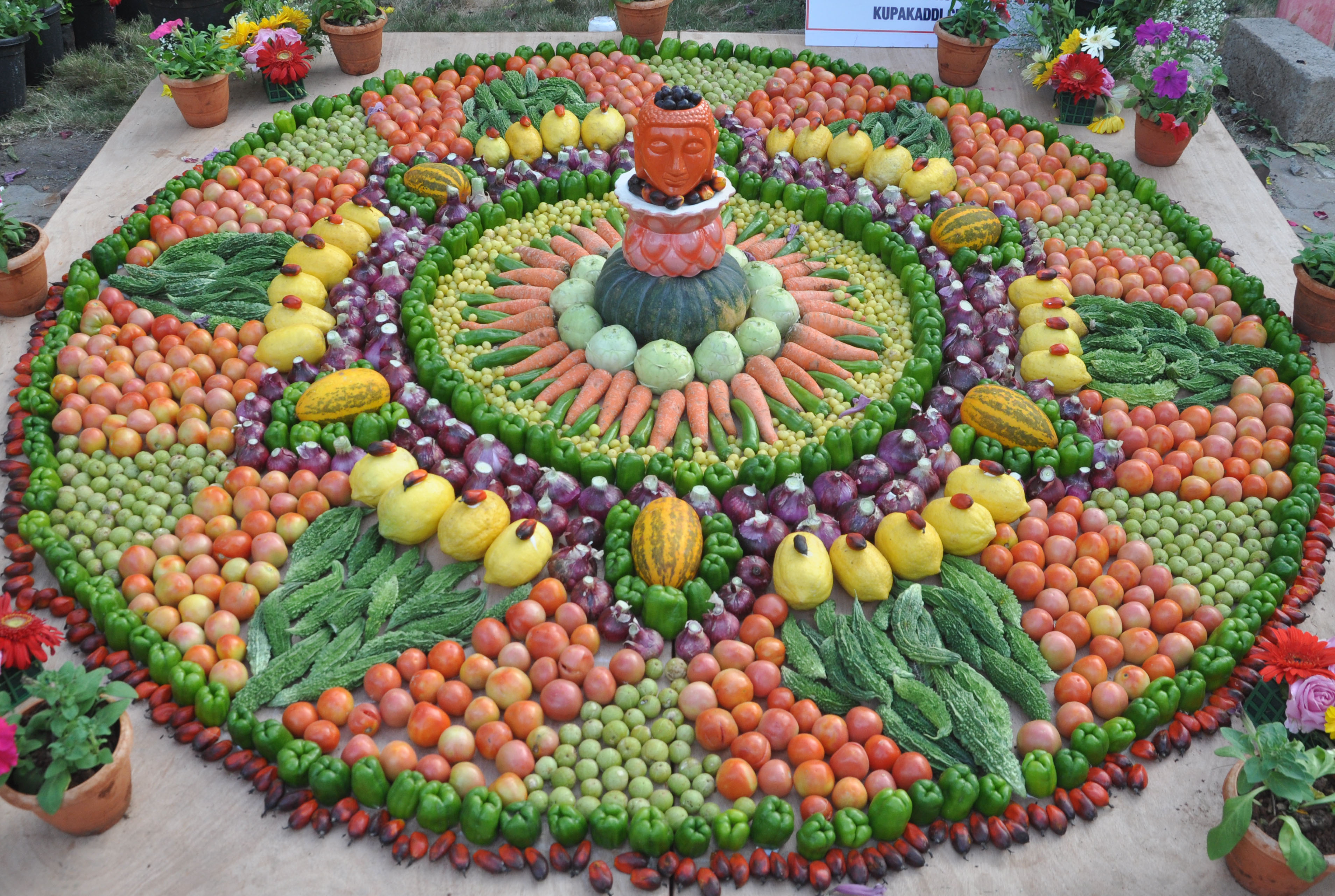 ವಿಜಯಪುರ ನಗರದ ತೋಟಗಾರಿಕೆ ಇಲಾಖೆಯ ಬಸವವನ ಆವರಣದಲ್ಲಿ ಆರಂಭವಾಗಿರುವ ಫಲಪುಷ್ಪ ಪ್ರದರ್ಶನದಲ್ಲಿ ವಿವಿಧ ತರಕಾರಿಗಳಿಂದ ತಯಾರಿಸಿರುವ ಚಕ್ರ  