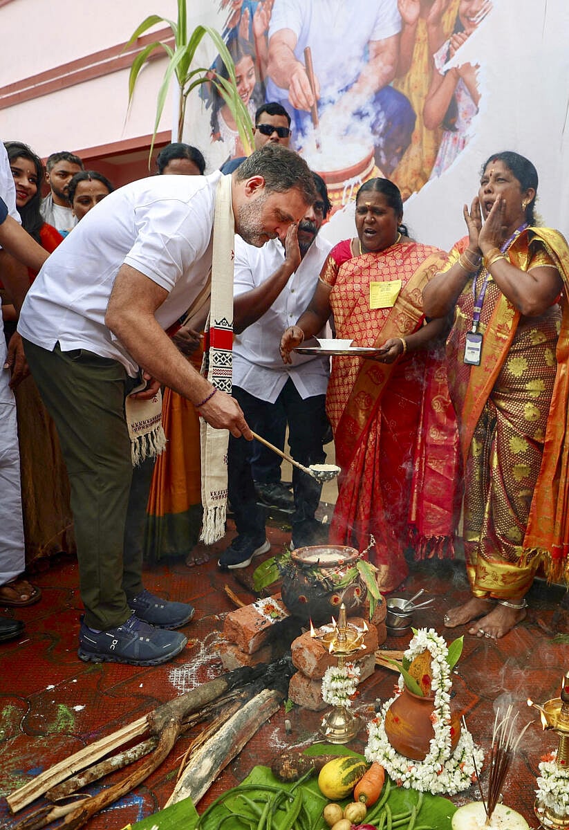 ಉದಕಮಂಡಲ: ಪೊಂಗಲ್‌ ಖಾದ್ಯ ತಯಾರಿಸಿದ ರಾಹುಲ್‌ ಗಾಂಧಿ