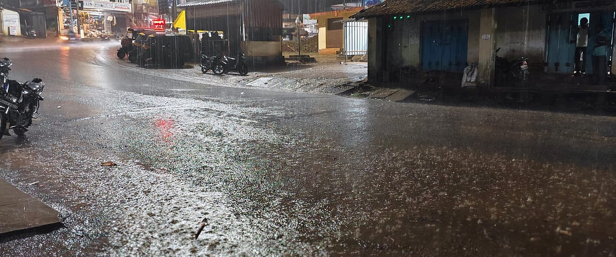 ಹಾಸನ, ಕೊಡಗು, ಚಿಕ್ಕಮಗಳೂರಿನ ವಿವಿಧೆಡೆ ಮಳೆ: ಭತ್ತ, ಕಾಫಿ ಕೊಯ್ಲಿಗೆ ಅಡ್ಡಿ