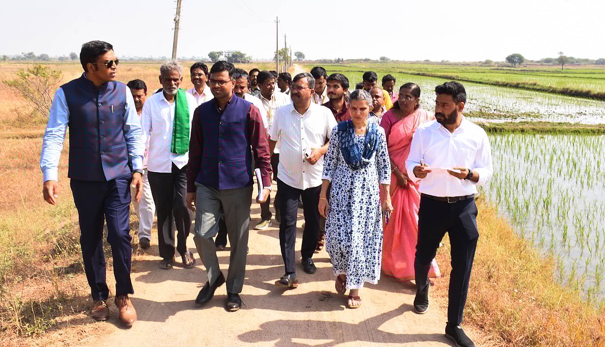 ಯಾದಗಿರಿ| ಮಳೆ, ಪ್ರವಾಹದಿಂದ ಬೆಳೆ ಹಾನಿ: ಅಧ್ಯಯನಕ್ಕೆ ಕೇಂದ್ರ ತಂಡ ಭೇಟಿ