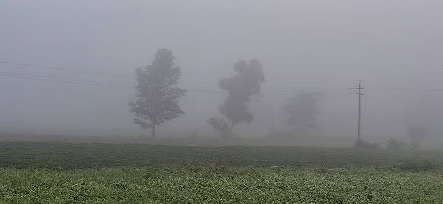 ಬೀದರ್‌, ಔರಾದ್‌ನಲ್ಲಿ ತುಂತುರು ಮಳೆ: ದಿನವಿಡೀ ಮೋಡ ಕವಿದ ವಾತಾವರಣ