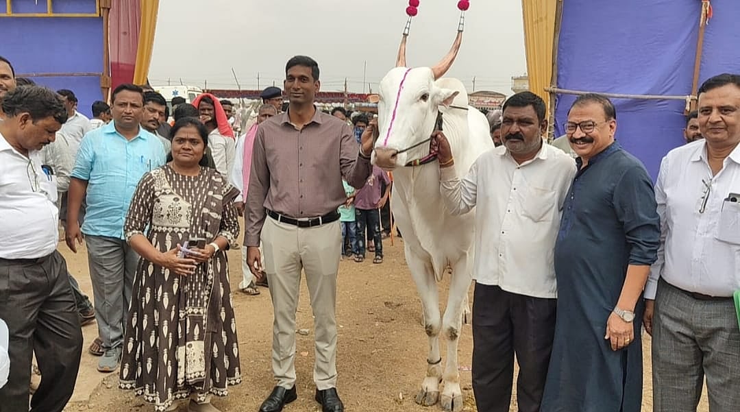 ವಿಜಯಪುರ | ಜಾನುವಾರು ಜಾತ್ರೆ:  ಜಿಲ್ಲಾಧಿಕಾರಿ ವೀಕ್ಷಣೆ