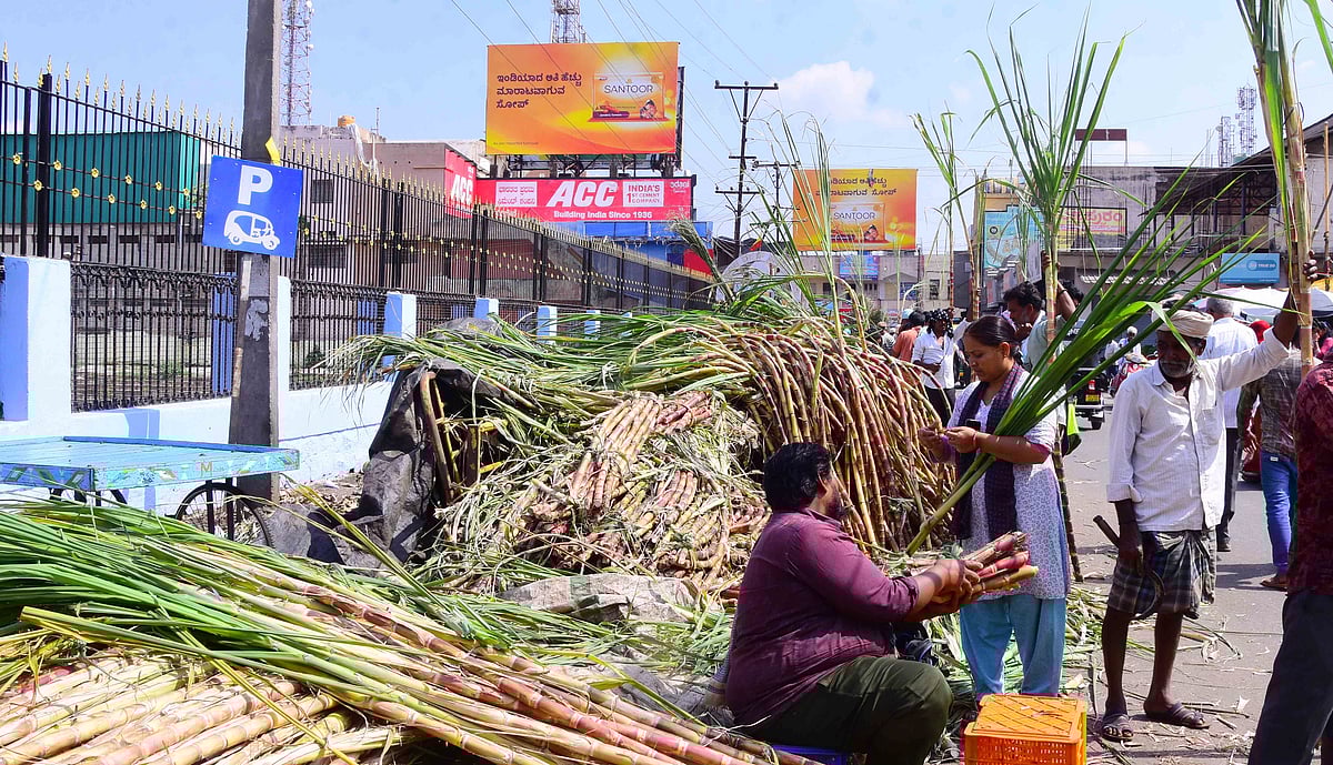 ಸೂರ್ಯ ದೇವನ ಆರಾಧನೆಗೆ ಕೋಟೆನಾಡು ಸಜ್ಜು  