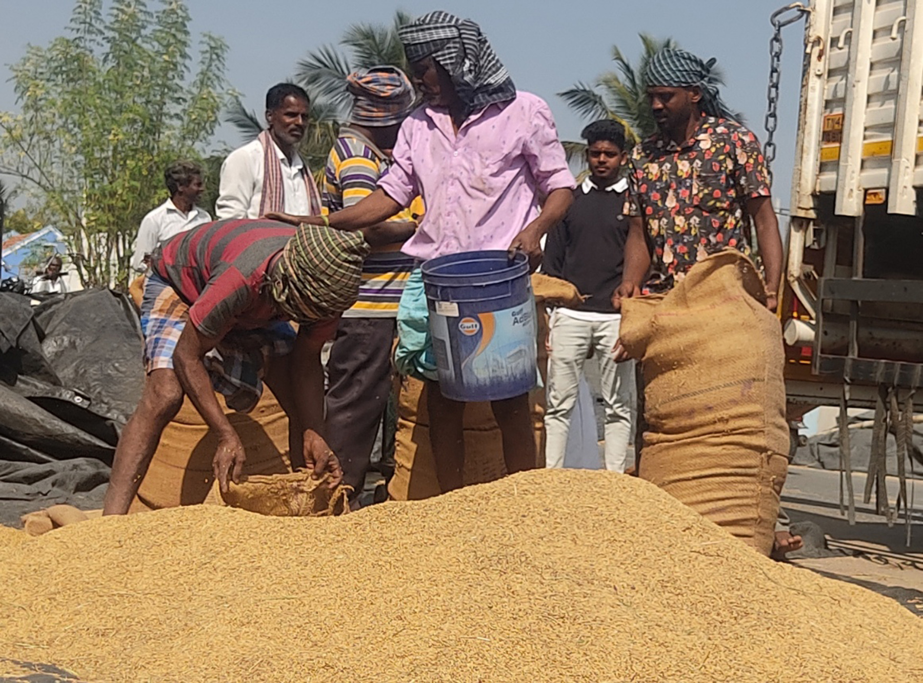 ವೈ.ಕೆ.ಮೋಳೆ ಗ್ರಾಮದ ಕೃಷಿಕರು ಭತ್ತ ಮಾರಾಟ ಮಾಡಲು ಸಿದ್ಧತೆ ನಡೆಸಿದರು