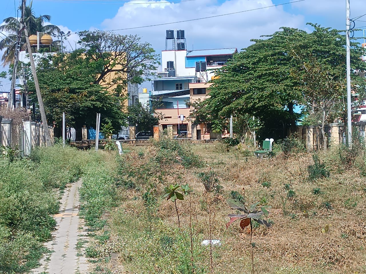 ಗಾಂಧಿನಗರ ಉದ್ಯಾನ ನಡಿಗೆ ಪಥದಲ್ಲಿ ಬೆಳೆದಿರುವ ಗಿಡಗಳು