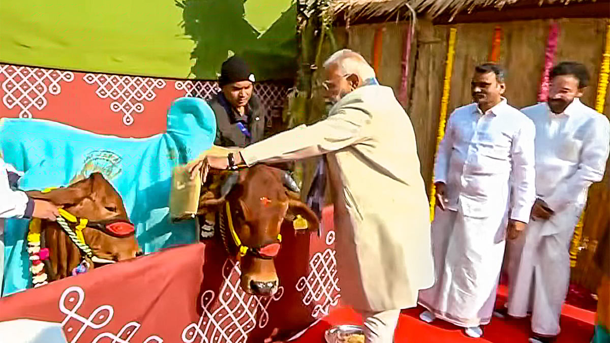 ಜಾಗತಿಕ ಹಬ್ಬವಾಗಿ ಪೊಂಗಲ್‌ ಆಚರಣೆ: ಪ್ರಧಾನಿ ಮೋದಿ ಸಂತಸ 