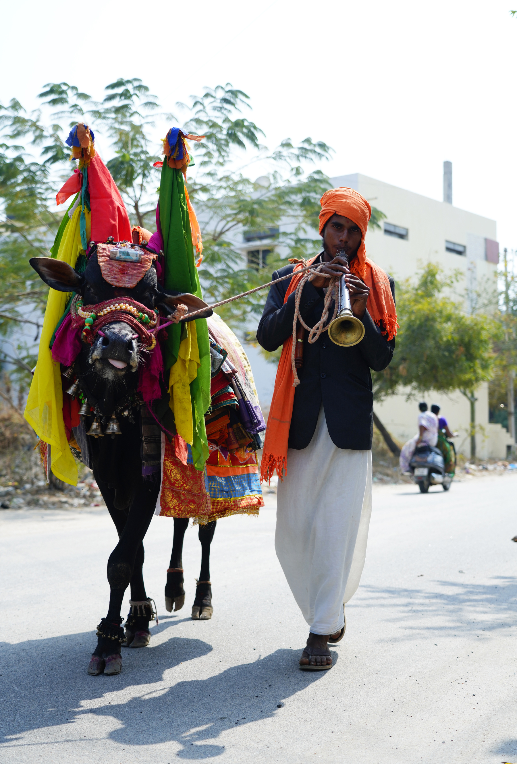 ಮಕರ ಸಂಕ್ರಮಣದ ದಿನ ರಾಯಚೂರಿನಲ್ಲಿ ಸಾಗಿದ ಕೋಲೆ ಬಸವ
