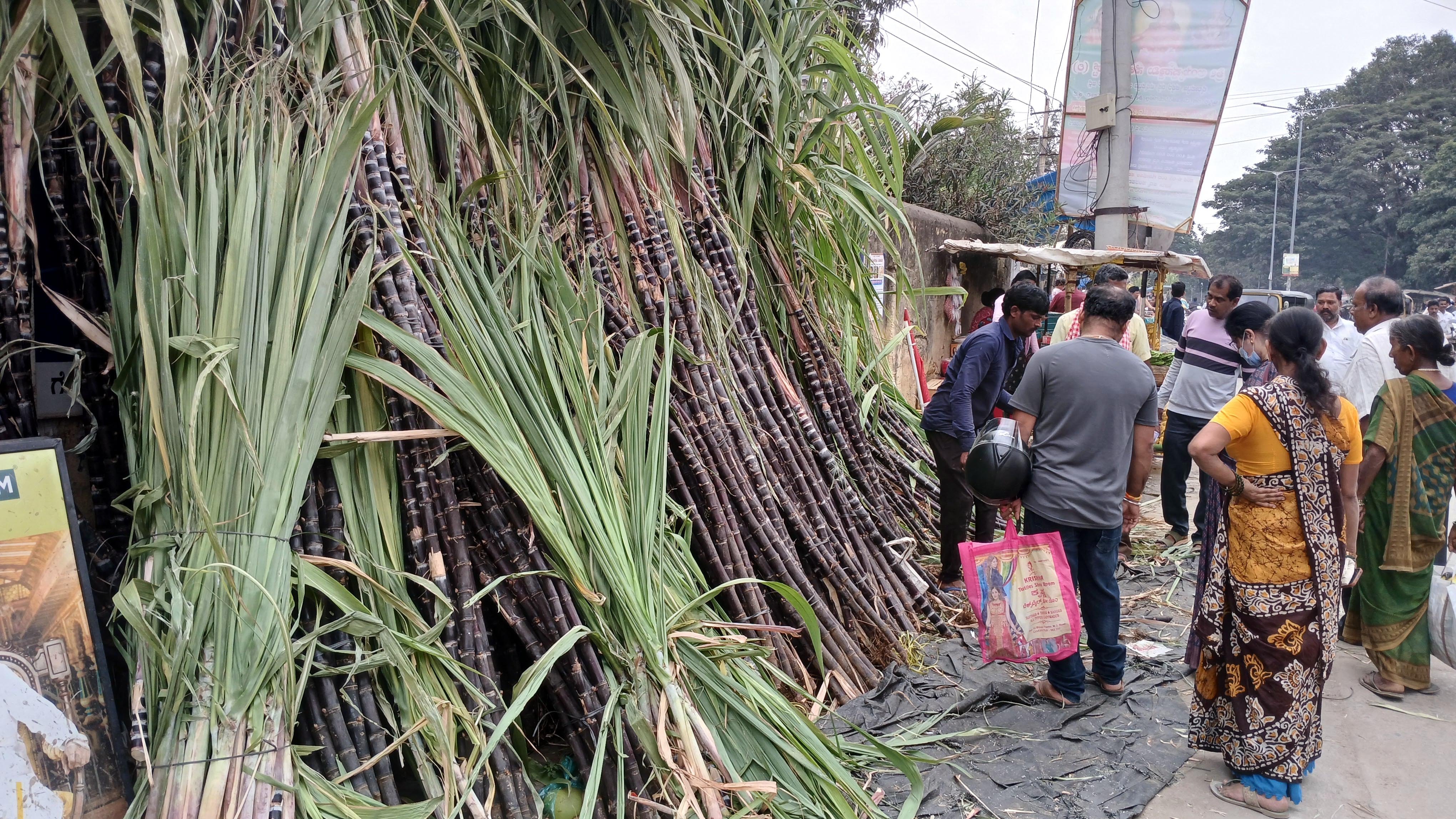 ಚನ್ನಪಟ್ಟಣದಲ್ಲಿ ಕಬ್ಬು ಖರೀದಿ