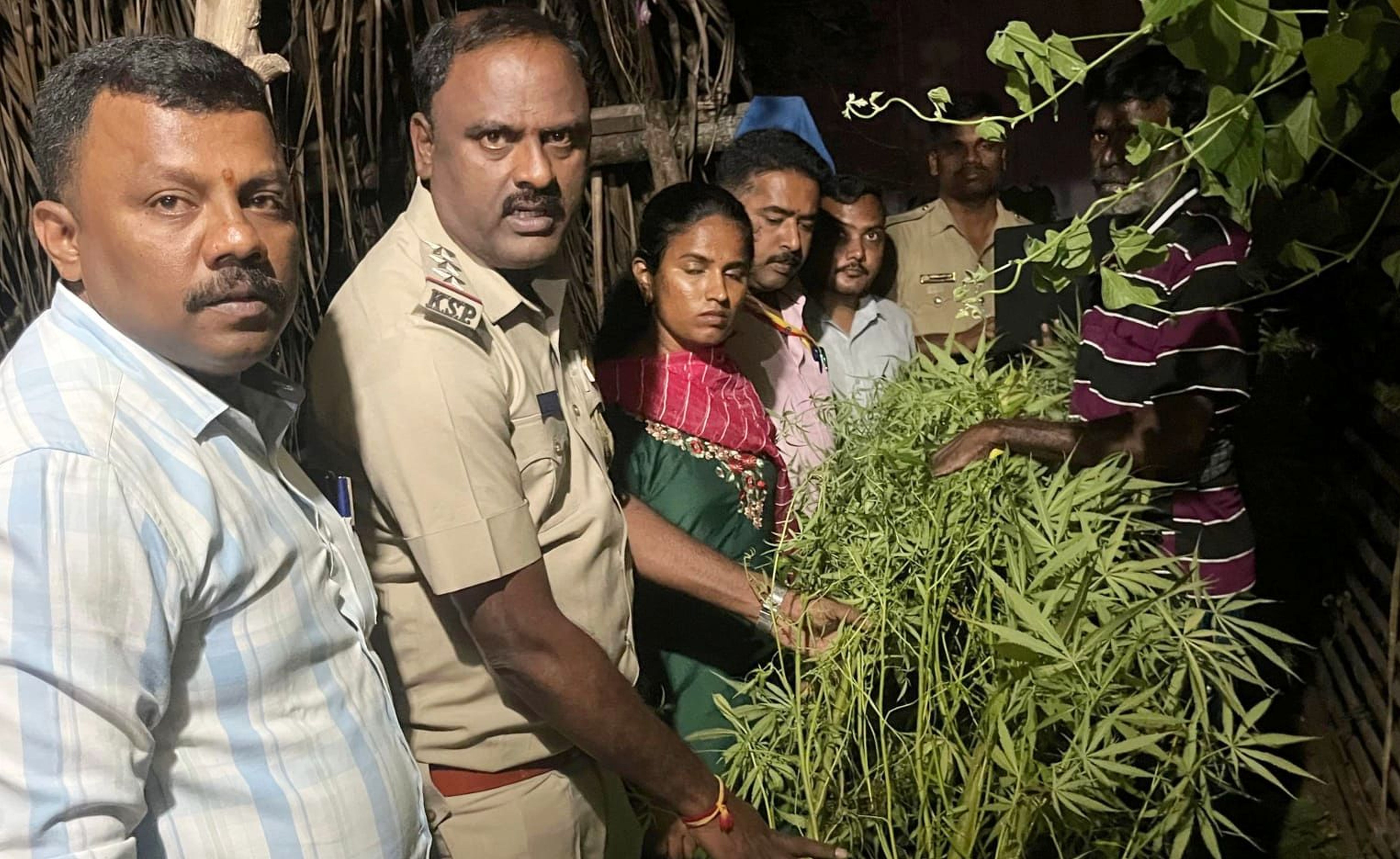 ಶ್ರೀರಂಗಪಟ್ಟಣ ತಾಲ್ಲೂಕಿನ ಶ್ರೀನಿವಾಸ ಅಗ್ರಹಾರ ಗ್ರಾಮದಲ್ಲಿ ಮನೆಯ ಮುಂದೆ ಬೆಳೆದಿದ್ದ ನಿಷೇಧಿತ ಗಾಂಜಾ ಗಿಡಗಳನ್ನು ಅಧಿಕಾರಿಗಳ ತಂಡ ವಶಪಡಿಸಿಕೊಂಡಿತು (ಸಂಗ್ರಹ ಚಿತ್ರ)
