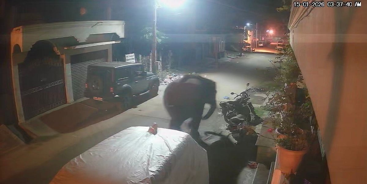 ಕಾಡಾನೆ ಸಮಸ್ಯೆಗೆ ಆಸ್ಸಾಂ ಮಾದರಿ ಅಳವಡಿಸಲು ಸಲಹೆ