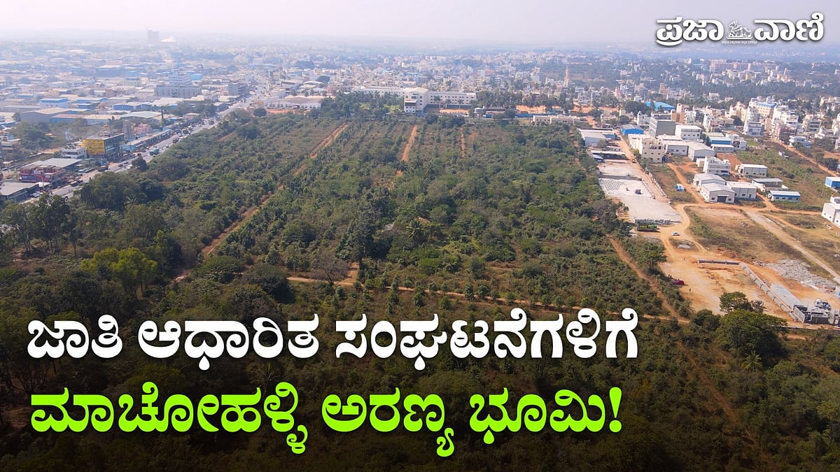 ಮಾಚೋಹಳ್ಳಿ ಅರಣ್ಯಕ್ಕೆ ಕುತ್ತು: ₹2,500 ಕೋಟಿ ಮೌಲ್ಯದ ಭೂಮಿ ಲೀಸ್‌ ವಿವಾದ