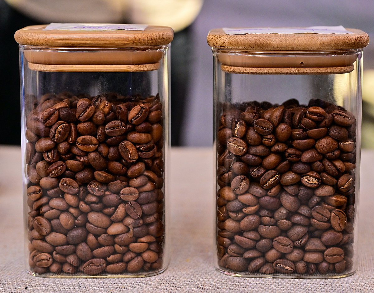 ಪಂಚವಾರ್ಷಿಕ ಬಜೆಟ್‌ಗೆ ಕಾಫಿ ಮಂಡಳಿ ಸಿದ್ಧತೆ: ದುಪ್ಪಟ್ಟು ಹಣಕ್ಕೆ ಬೇಡಿಕೆ