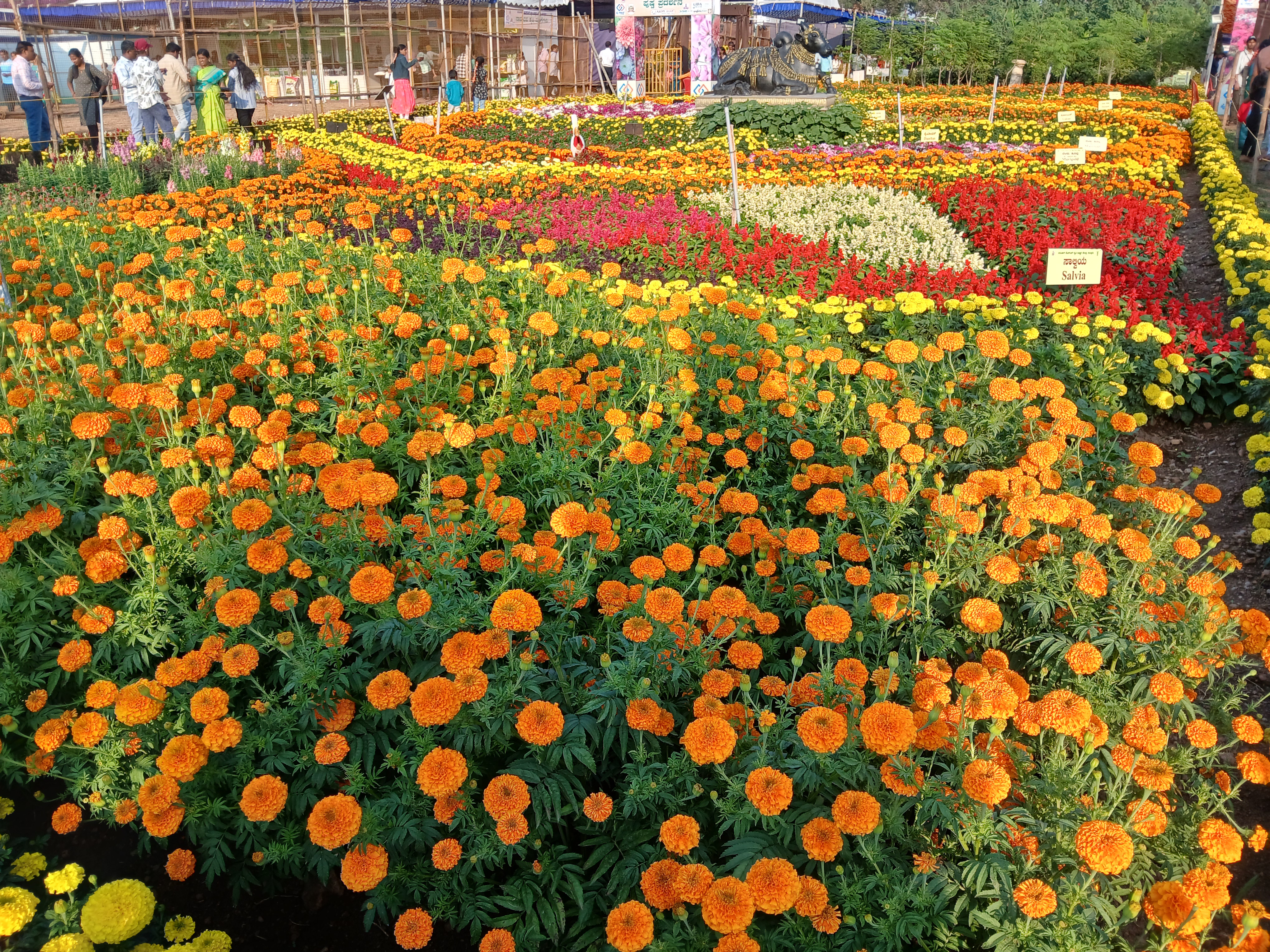 ಕೃಷಿ ಮೇಳದಲ್ಲಿನ ಫಲ‍ಪುಷ್ಪ ಪ್ರದರ್ಶನವನ್ನು ಸಾರ್ವಜನಿಕರು ವೀಕ್ಷಿಸಿದರು