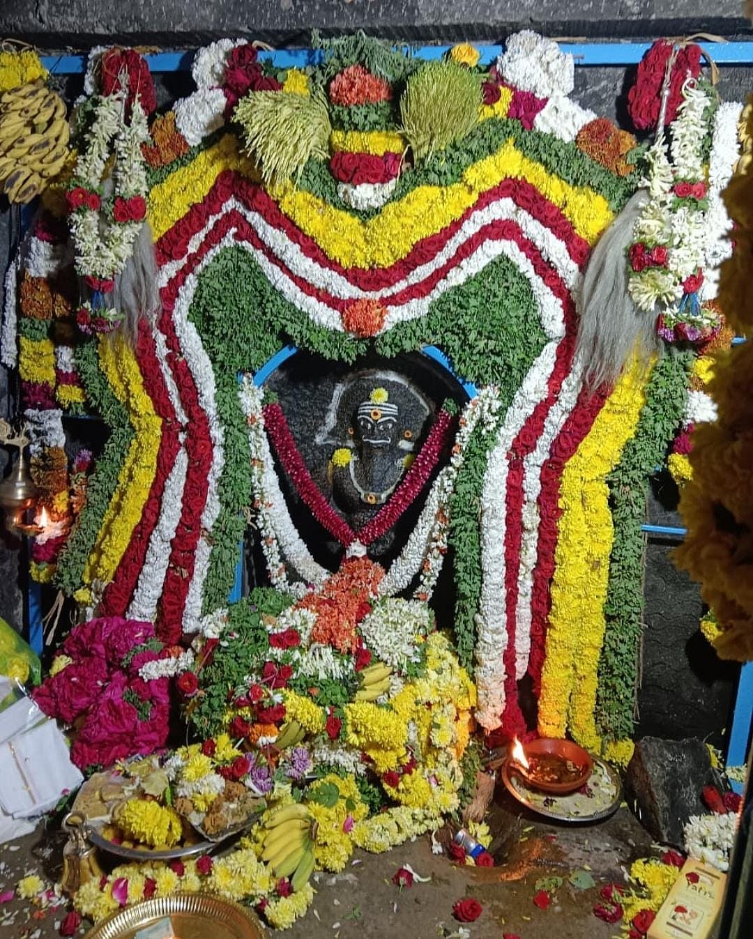 ಆನೇಕಲ್ | ಶಂಕರನಹಳ್ಳದಲ್ಲಿ ಸುಗ್ಗಿ ಹಬ್ಬ ಸಂಭ್ರಮ 