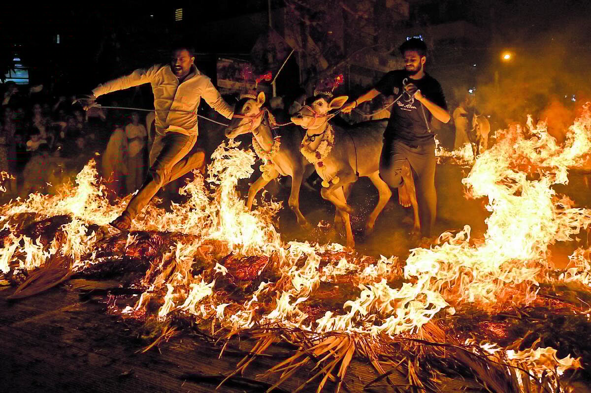 ಬೆಂಗಳೂರಿನಾದ್ಯಂತ ಸಡಗರದ ಸಂಕ್ರಾಂತಿ ಆಚರಣೆ
