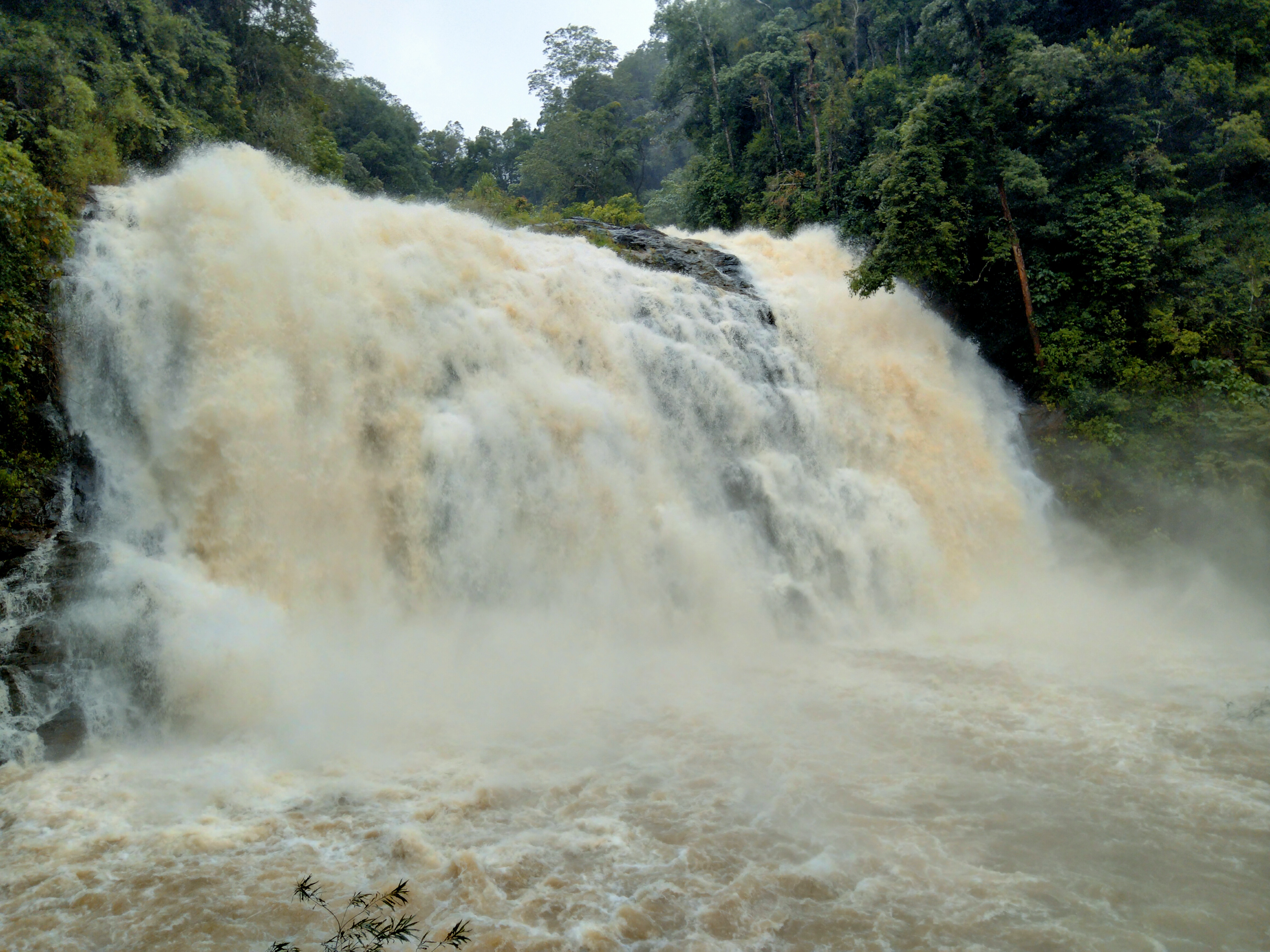 ಮುಂಗಾರಿನಲ್ಲಿ ಅಬ್ಬಿ ಜಲಪಾತದ ಭೋರ್ಗರೆತ