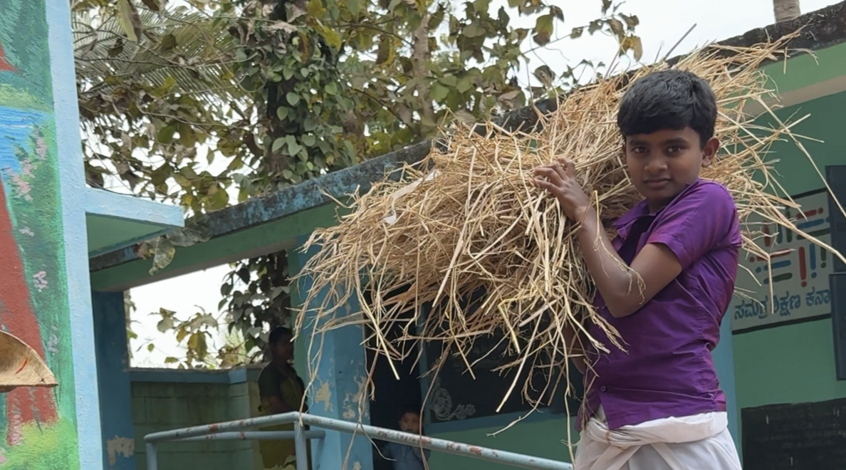 ಒಕ್ಕಣೆಯಾದ ಹುಲ್ಲನ್ನು ಒಂದೆಡೆ ಇಡಲು ವಿದ್ಯಾರ್ಥಿ ಸಾಗಿಸುತ್ತಿರುವುದು
