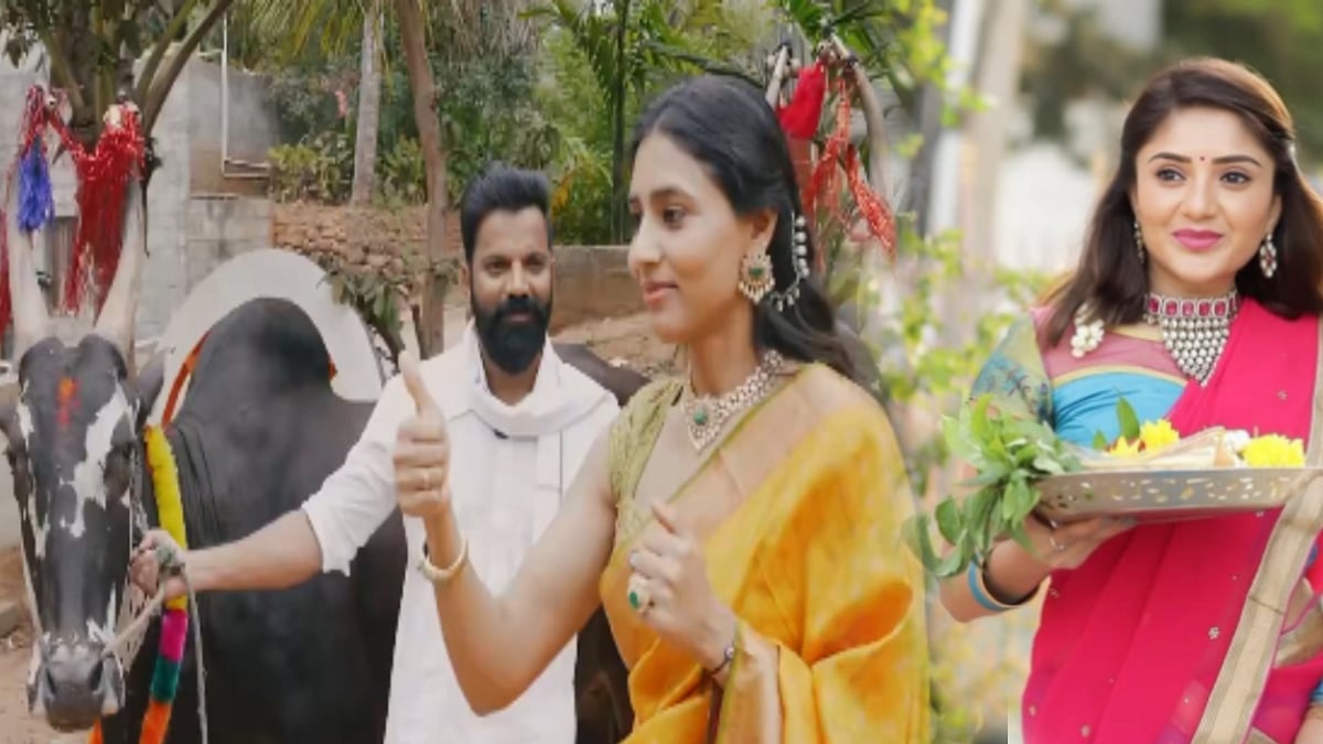 ಸಿನಿ ತಾರೆಯರ ಸಂಕ್ರಾಂತಿ ಸಂಭ್ರಮ: ಚಿತ್ರಗಳು ಇಲ್ಲಿವೆ