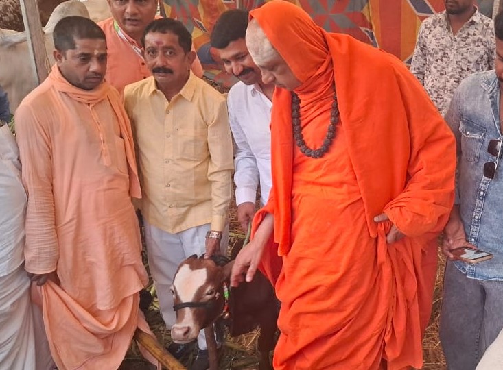 ನಂಜನಗೂಡು ತಾಲ್ಲೂಕಿನ ಸುತ್ತೂರು ಜಾತ್ರೆಯ ದೇಸಿ ತಳಿ ಜಾನುವಾರುಗಳ ಪ್ರದರ್ಶನದಲ್ಲಿಸ್ವರ್ಣ ಕಪಿಲಾ ತಳಿಯ ಕರುವುನೊಂದಿಗೆ ಶಿವರಾತ್ರಿ ದೇಶಿಕೇಂದ್ರ ಸ್ವಾಮೀಜಿ