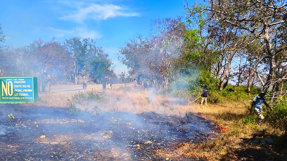 ಬಂಡೀಪುರ ಹುಲಿ ಸಂರಕ್ಷಿತ ಪ್ರದೇಶ: ಕಾಡ್ಗಿಚ್ಚು ನಿಯಂತ್ರಣಕ್ಕೆ ಎಐ ತಂತ್ರಜ್ಞಾನ!