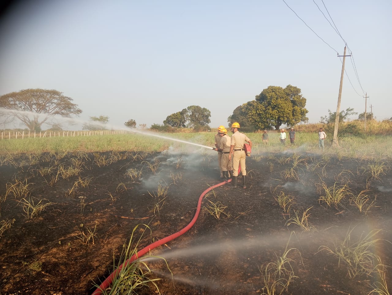 ಕಲಘಟಗಿ ತಾಲ್ಲೂಕಿನ ಗಲಗಿನಗಟ್ಟಿ ಗ್ರಾಮದ ರೈತರೊಬ್ಬರ ಕಬ್ಬಿನ ಬೆಳೆಗೆ ಈಚೆಗೆ ಬೆಂಕಿ ತಗುಲಿದಾಗ ಅಗ್ನಿ ಶಾಮಕ ದಳದವರು ಬೆಂಕಿ ನಂದಿಸಿದರು
