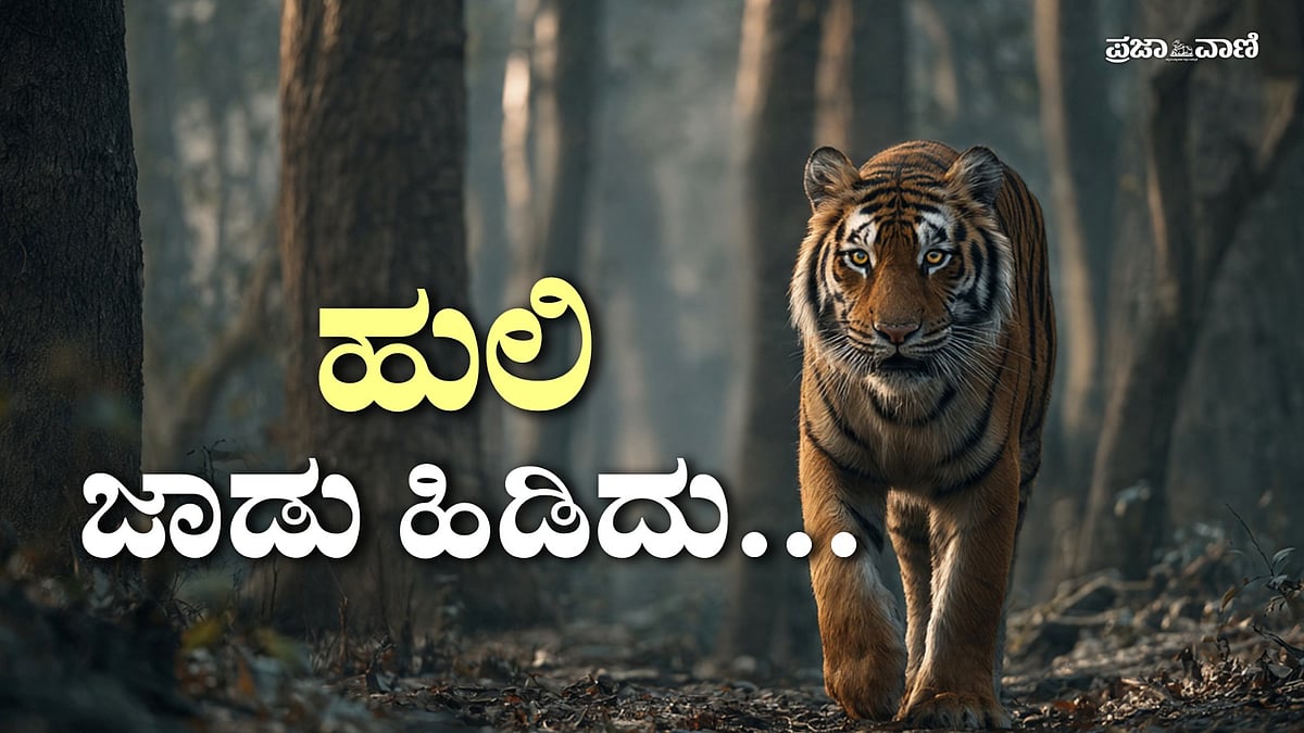 Video | ಹುಲಿ ಗಣತಿ ಆರಂಭ: ಅಗ್ರಸ್ಥಾನದತ್ತ ಕರ್ನಾಟಕದ ಚಿತ್ತ