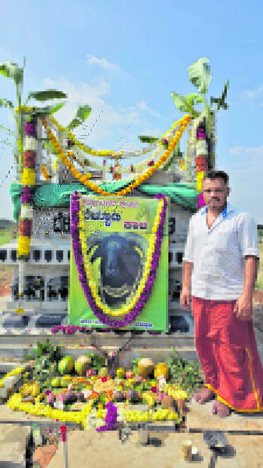 ಕಾಳಿಯ ನೆನಪಿನಲ್ಲಿ...