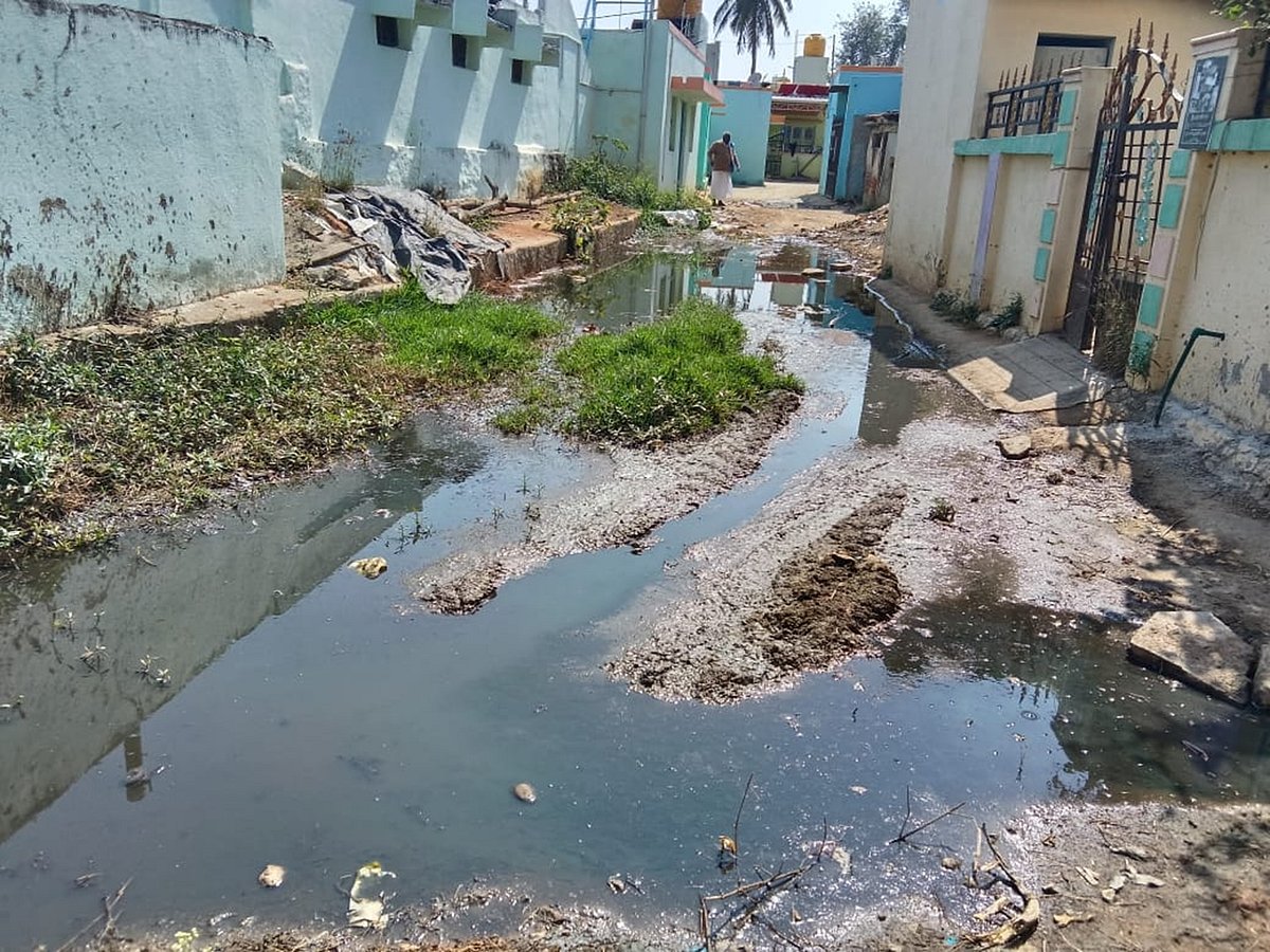 ಚಿಂತಾಮಣಿ | ಪರಿಶಿಷ್ಟ ಕಾಲೋನಿ ರಸ್ತೆ ಸ್ವಚ್ಛಗೊಳಿಸಲು ಆಗ್ರಹ