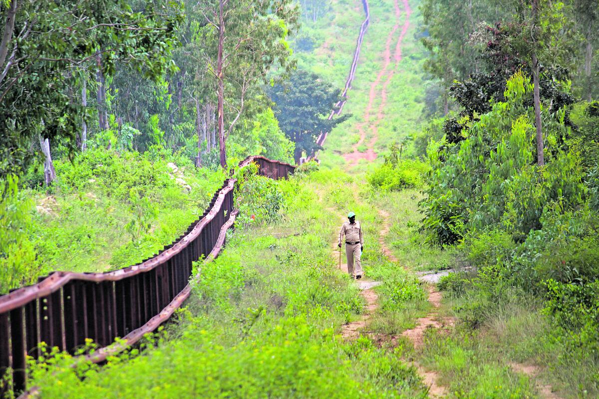 ಬಂಡೀಪುರದ ಹಡಿಯಾಳ ವಲಯದಲ್ಲಿ ಸಿಬ್ಬಂದಿ ಏಕಾಂಗಿಯಾಗಿ ದೊಣ್ಣೆ ಹಿಡಿದುಗಸ್ತು ಮಾಡುತ್ತಿರುವುದು. 