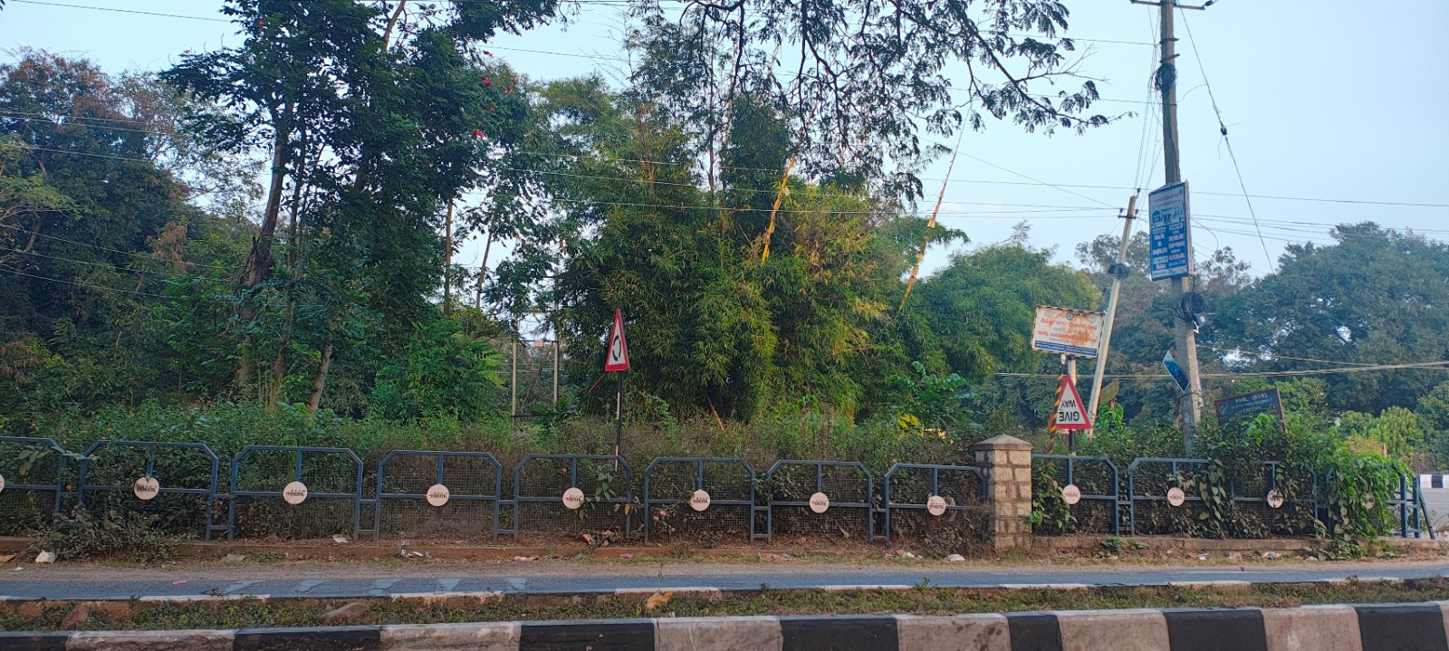 ಮುಳ್ಳು ಪೊದೆಗಳಿಂದ ಆವೃತಗೊಂಡ ಉದ್ಯಾನ