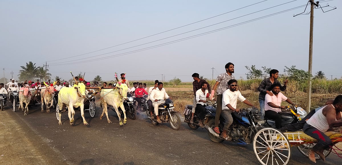ಕಾಗವಾಡ| ಎತ್ತು, ಭೂಮಿ ರೈತನ ಜೀವನಾಡಿ: ಶ್ರೀಮಂತ ಪಾಟೀಲ