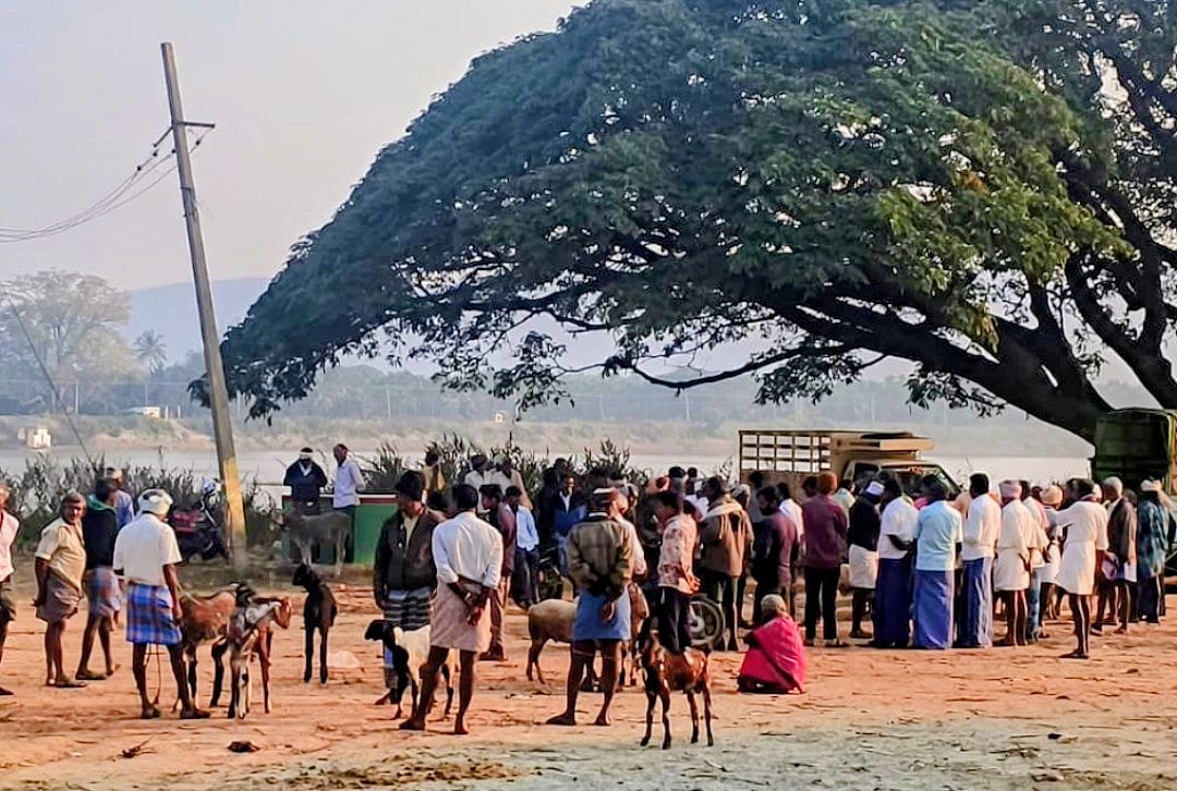 ಗುಬ್ಬಿ | ಹಾಗಲವಾಡಿಯಲ್ಲೀಗ ಕುರಿ, ಮೇಕೆ ವಹಿವಾಟು: ಸೌಕರ್ಯ ಒದಗಿಸುವತ್ತ ಚಿತ್ತ
