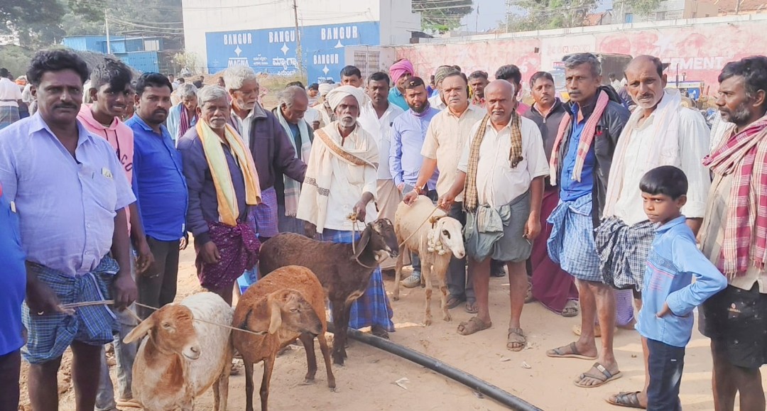 ಗುಬ್ಬಿ ತಾಲ್ಲೂಕಿನ ಹಾಗಲವಾಡಿಯಲ್ಲಿ ಕುರಿ ಮೇಕೆ ವ್ಯಾಪಾರ