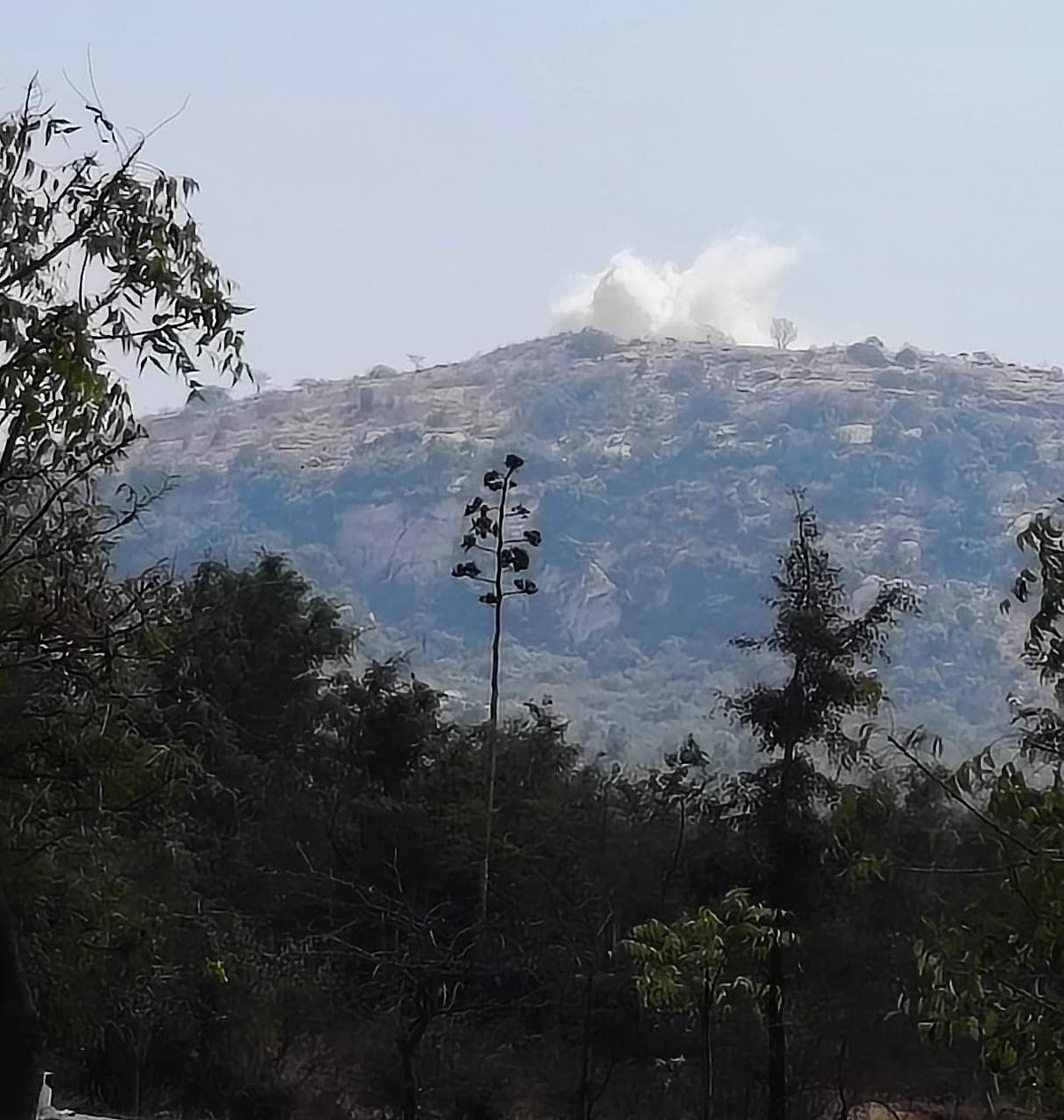 ತಿಮ್ಮಪ್ಪನ ಗುಡ್ಡದಲ್ಲಿ ಕಲ್ಲು ಗಣಿಗಾರಿಕೆ: ಅಪರೂಪದ ಜೀವವೈವಿಧ್ಯಕ್ಕೆ ಕಂಟಕ