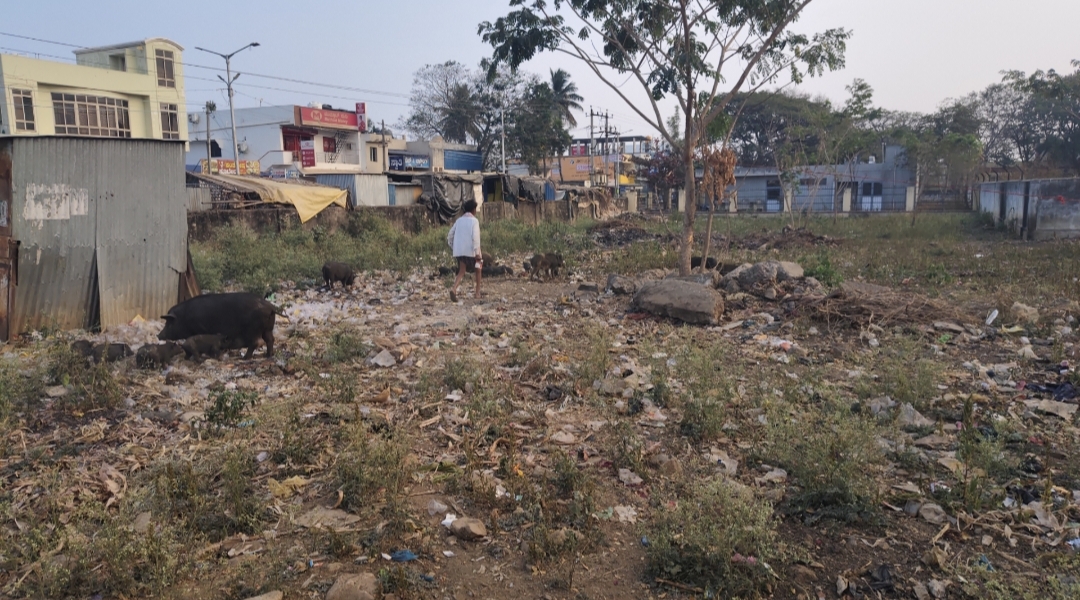ಬಯಲು ಶೌಚಾಲಯದ ತಾಣವಾದ ಎಪಿಎಂಸಿ ಆವರಣ