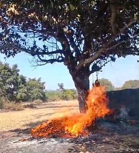 ತೂಬಗೆರೆ | ಬೆಂಕಿ ಆಕಸ್ಮಿಕ: ರಾಗಿ ಹುಲ್ಲಿನ ಬಣವೆ ಭಸ್ಮ