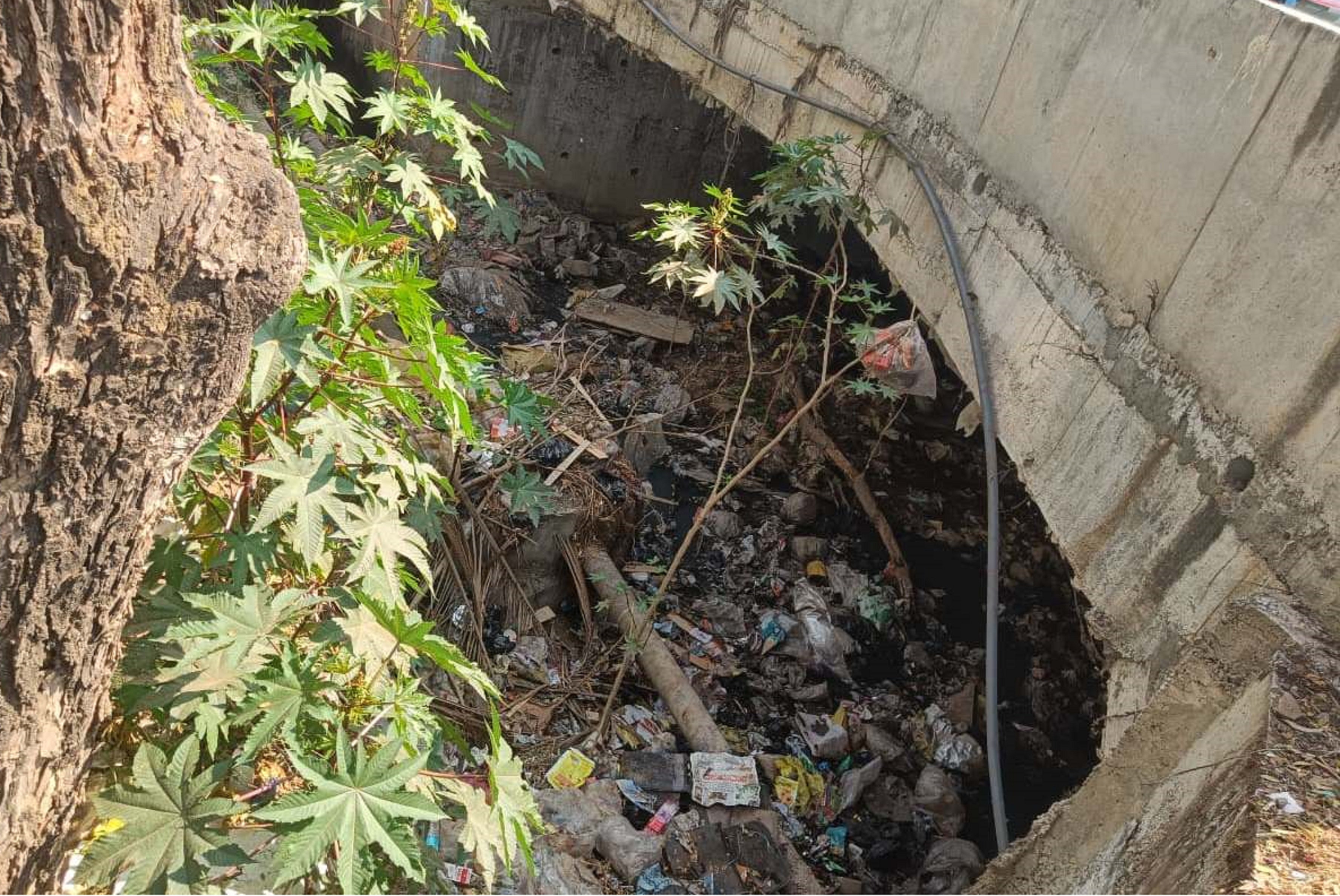 ಹೊಳಲ್ಕೆರೆಯ ಹಿರೇಕೆರೆ ಕೋಡಿ ಚರಂಡಿಯಲ್ಲಿ ಕೊಳಚೆ ತುಂಬಿರುವುದು