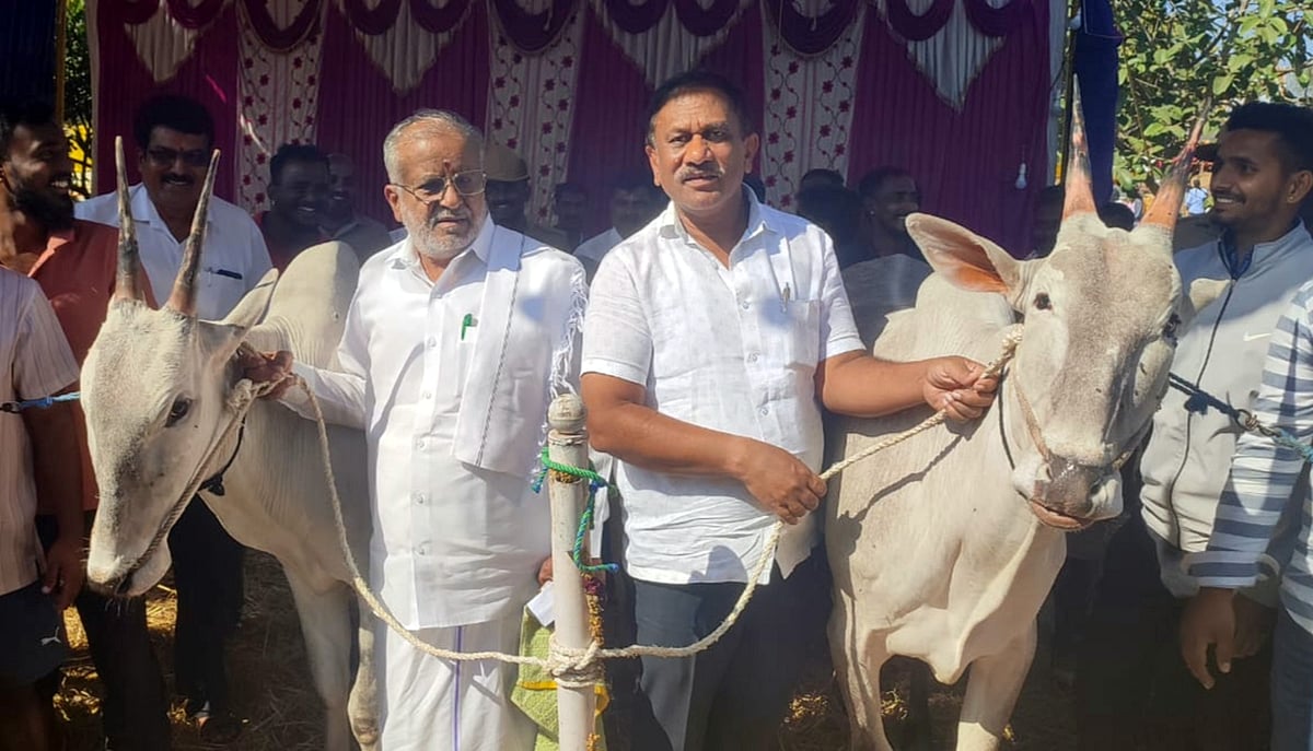 ಶ್ರೀರಂಗಪಟ್ಟಣ | ಉತ್ತಮ ರಾಸುಗಳಿಗೆ ಬಹುಮಾನ